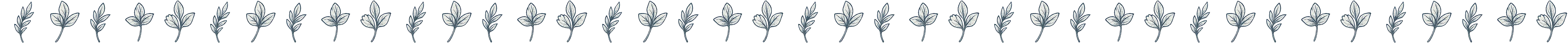 Divider Image